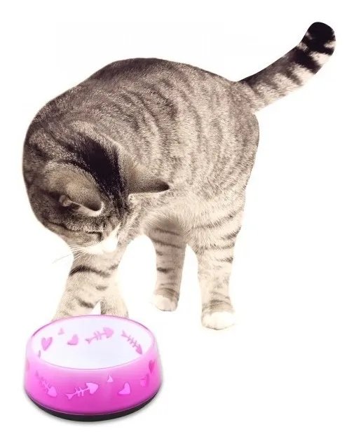 2405